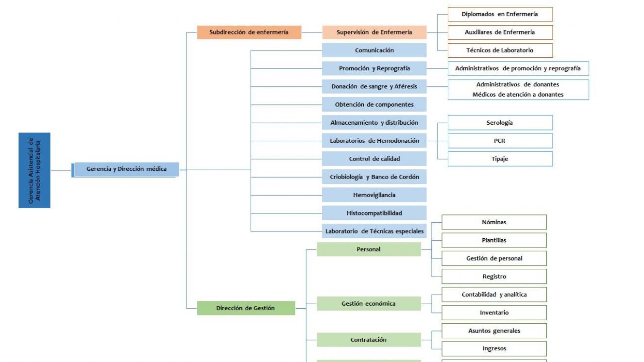 Organigrama