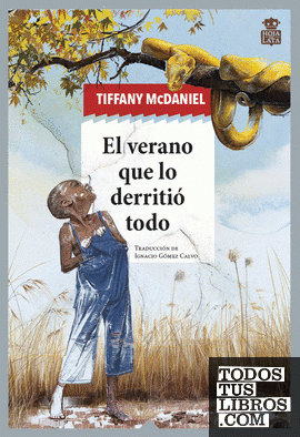 Portada del libro El verano que lo derritió todo 