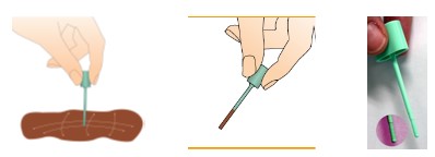 Esquema tubo con hisopo