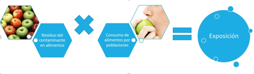Esquema que muestra la exposición a contaminantes de la forma: Residuo del contaminante en el alimento, multiplicado por el consumo de ese alimento es igual a la llamada Exposición