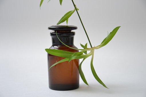 bote de medicina con rama de una planta