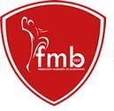 LOGO FEDERACIÓN MADRILEÑA DE BALONMANO